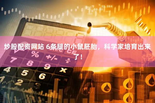 炒股配资网站 6条腿的小鼠胚胎，科学家培育出来了！